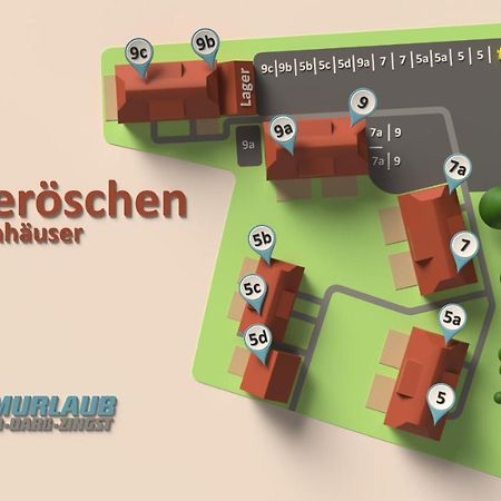 Heideroeschen Park Heideroeschen 5C Villa Zingst Luaran gambar